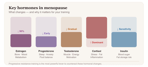 Menopause & Working Out: The Complete Fitness Guide for Women 40+ (Digital PDF)